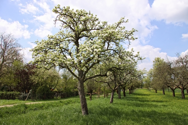 Stadtverwaltung Link zur Unterseite "Stadtverwaltung"