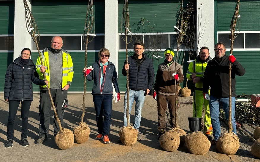 Gemeinsam mit den Mitarbeitenden der Stadtgärtnerei verteilten Diana Neef (von links), stellvertretende Stabsstellenleiterin Umwelt- und Klimaschutz, Christian Lang, Leiter der Stadtgärtnerei, Bürgermeisterin Martina Koch-Haßdenteufel, Christopher King, Leiter der Stabsstelle Umwelt- und Klimaschutz, sowie Oberbürgermeister Nico Lauxmann die Klimabäume für Kornwestheim. 