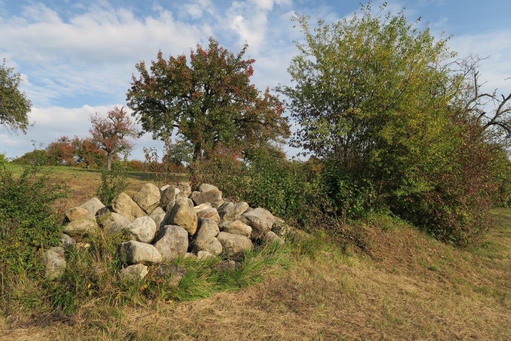 Stadt Kornwestheim Parkanlagen